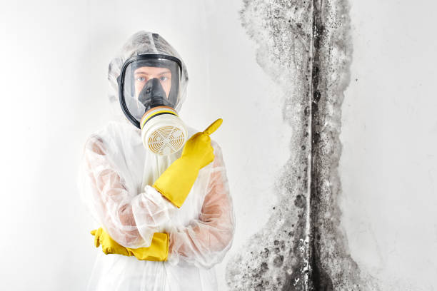 Best Commercial Mold Inspection in Wewa, OK